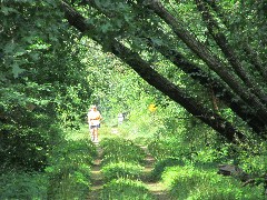 Judy Geisler; IAT; Sugar River State Recreation Trail, WI